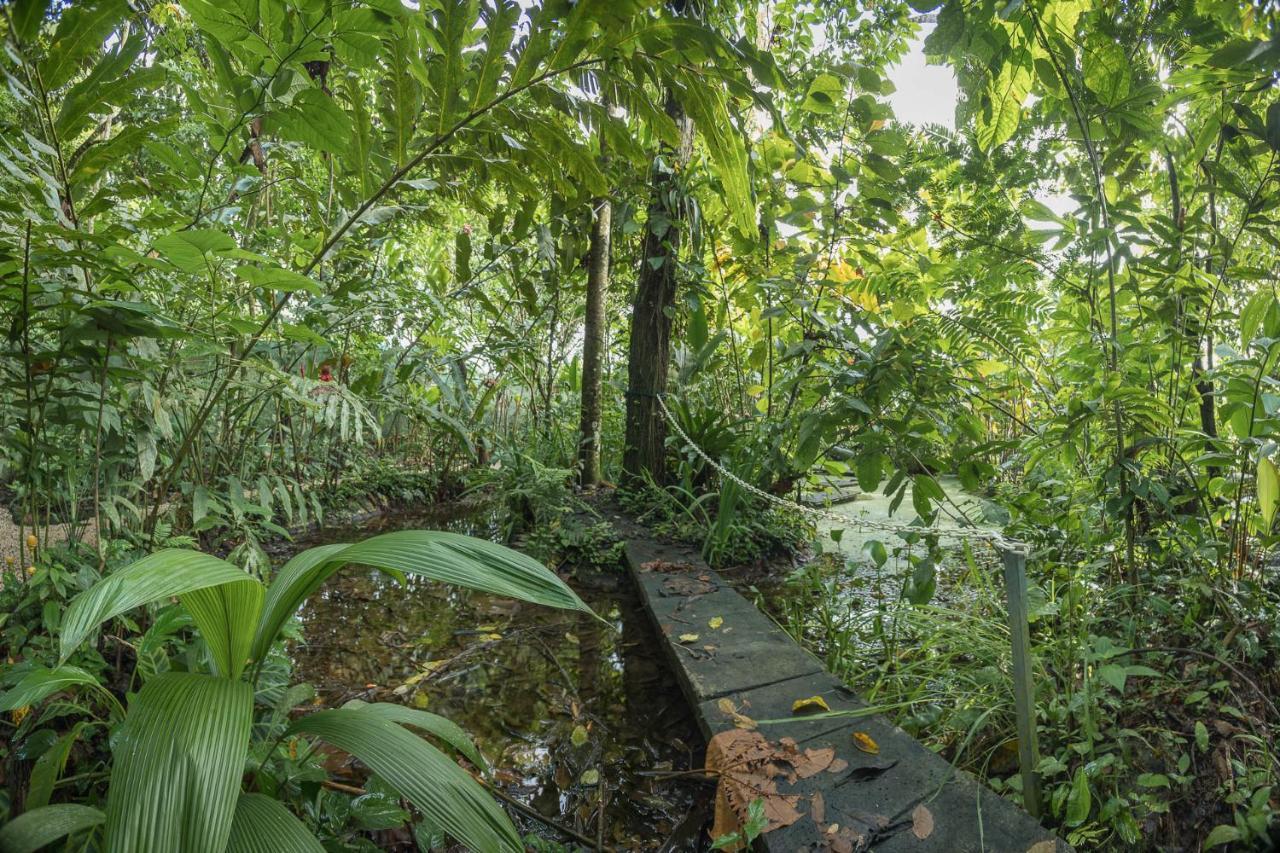 Cabanas Del Rio La Fortuna Εξωτερικό φωτογραφία
