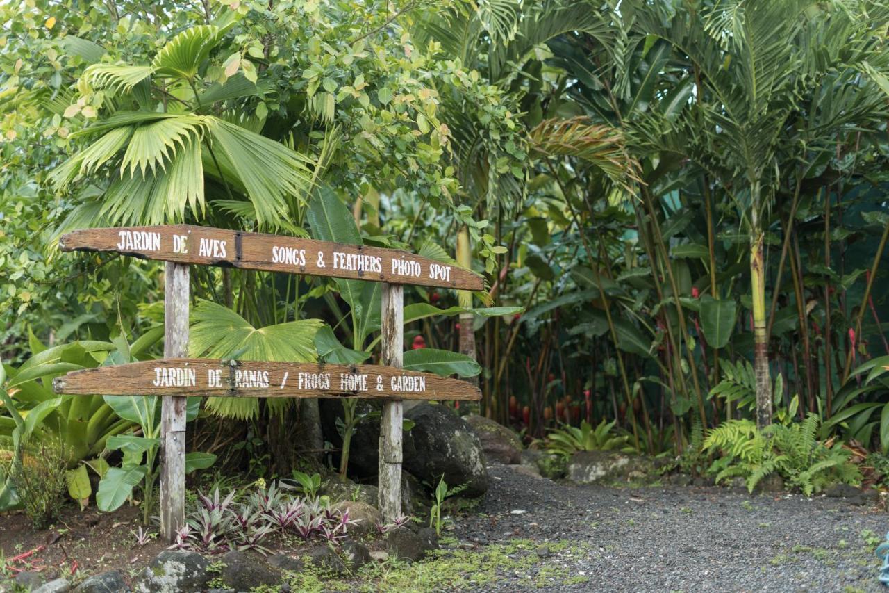 Cabanas Del Rio La Fortuna Εξωτερικό φωτογραφία