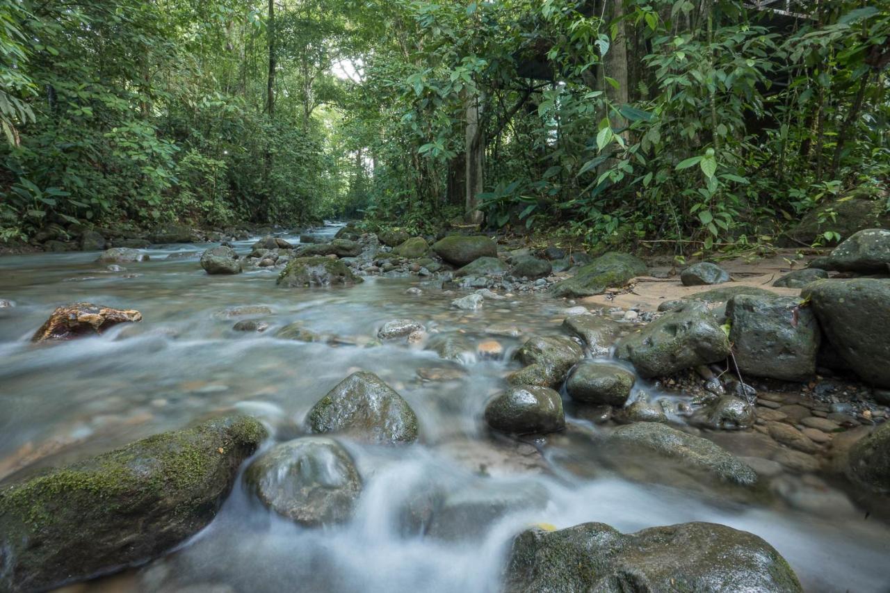 Cabanas Del Rio La Fortuna Εξωτερικό φωτογραφία