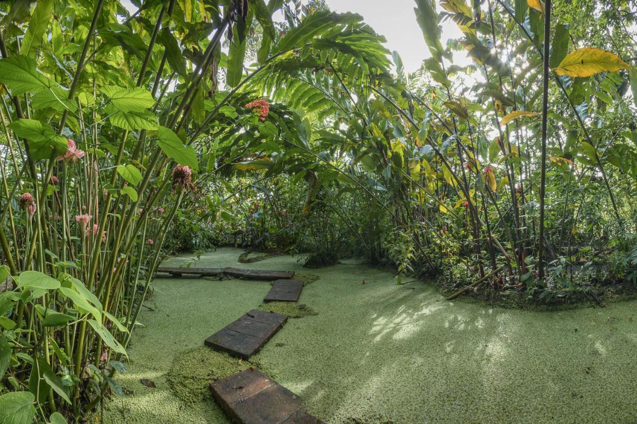 Cabanas Del Rio La Fortuna Εξωτερικό φωτογραφία