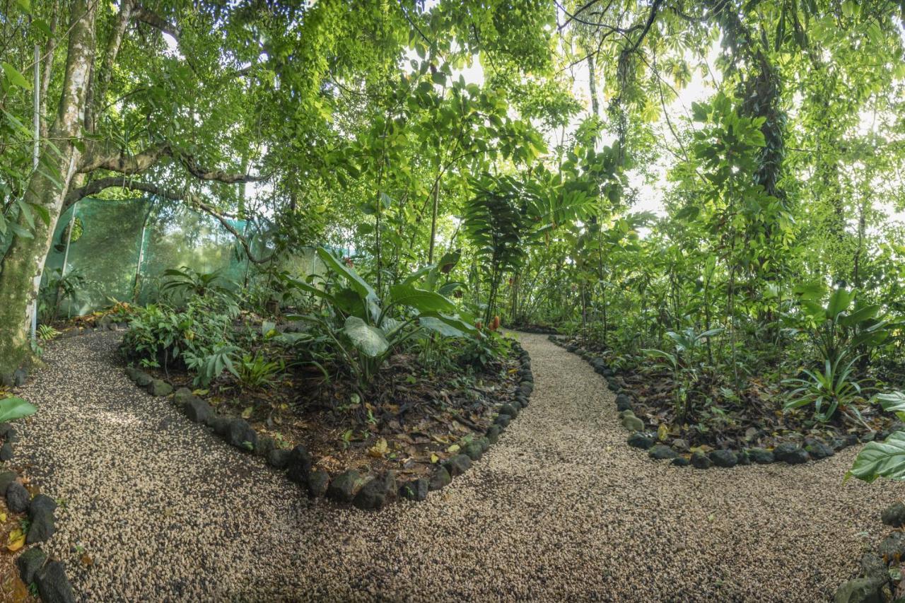 Cabanas Del Rio La Fortuna Εξωτερικό φωτογραφία