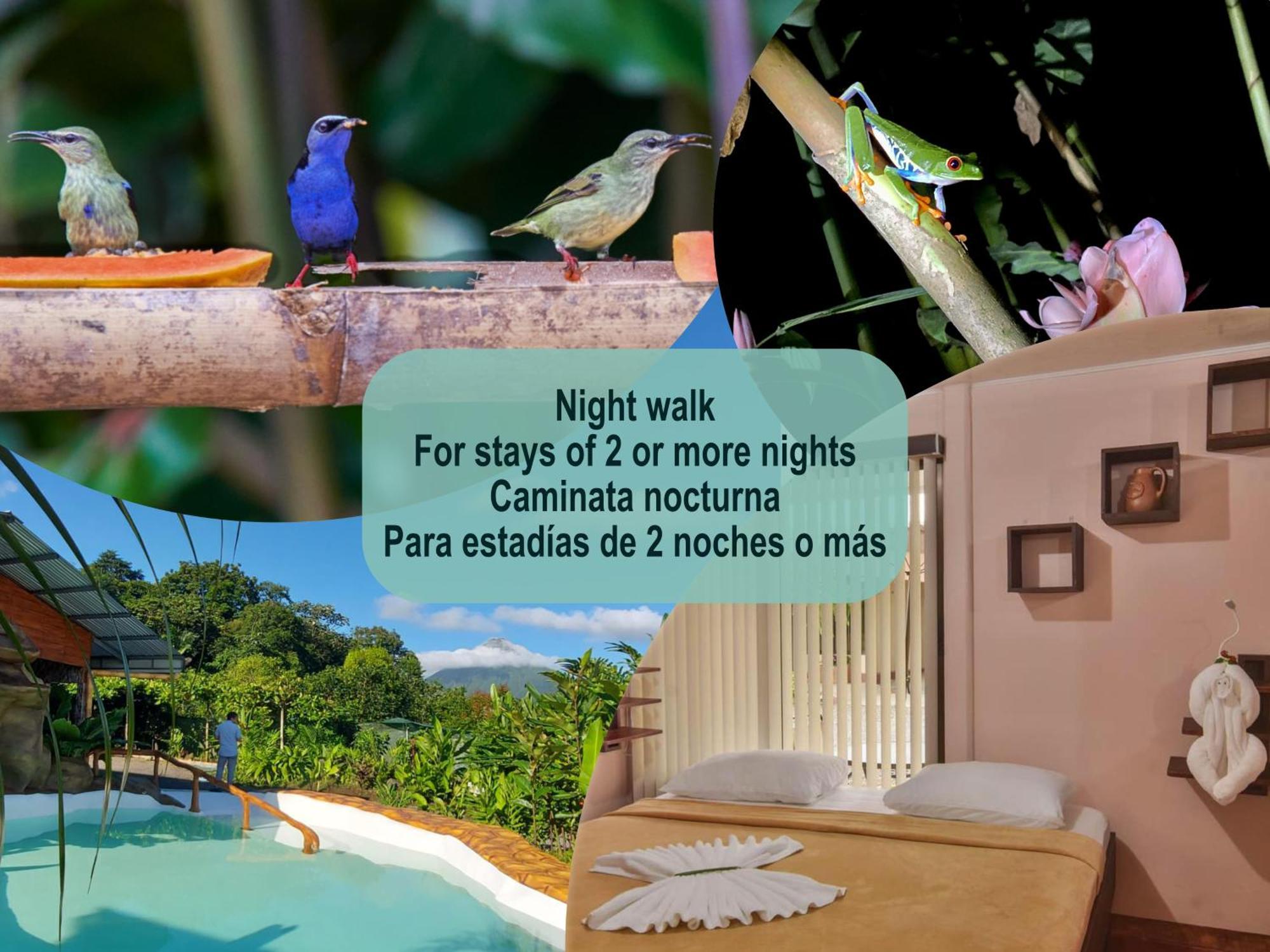 Cabanas Del Rio La Fortuna Εξωτερικό φωτογραφία